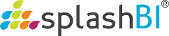 Splash BI